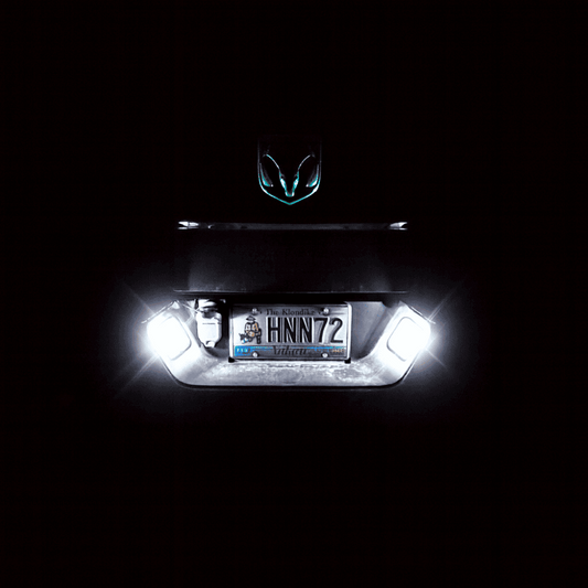 LED License Plate Lights (T10 Pair)